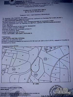 image_4