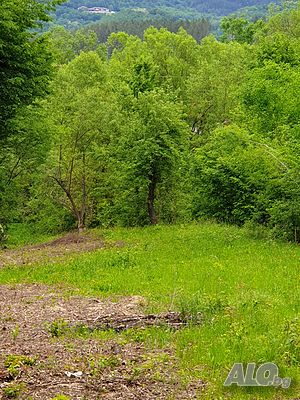 image_9