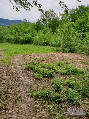 image_10