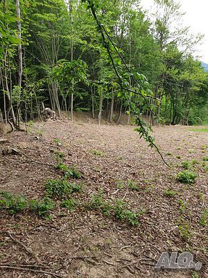 image_11
