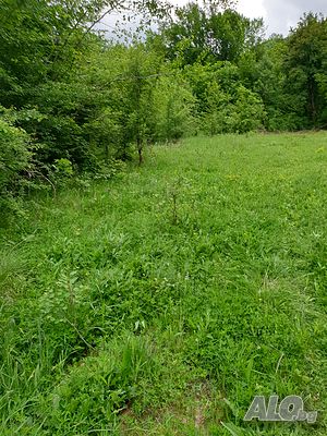 image_14