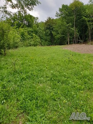 image_12