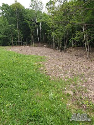 image_13