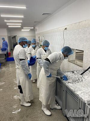 image_9