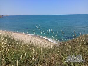 image_43