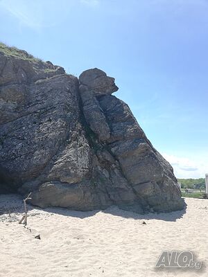 image_44