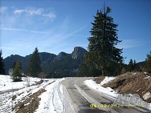 image_6