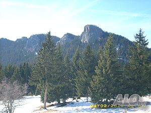 image_7