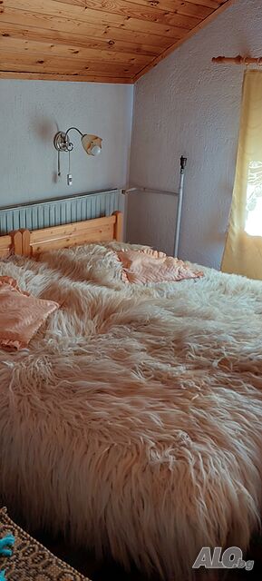 image_11