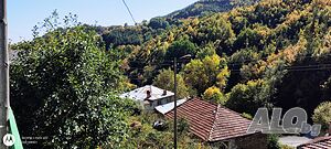 image_11