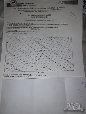 Продавам лозе в с. Кошарица