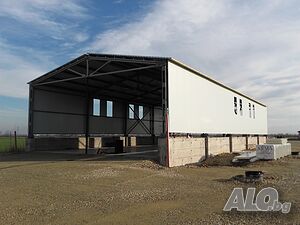 image_5