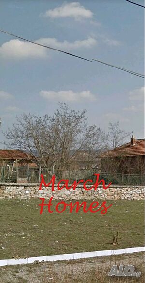 image_7
