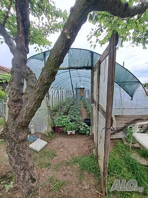 image_8
