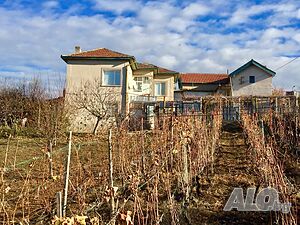image_7