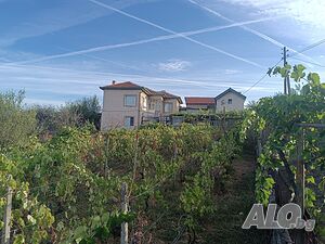 image_15