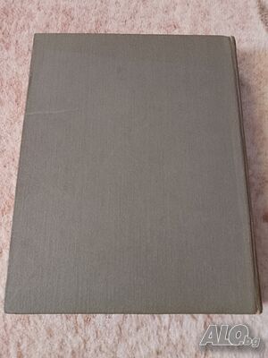 image_3
