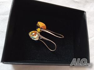 image_12