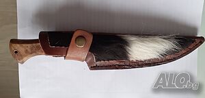 image_7