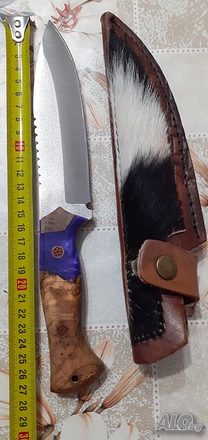 image_8