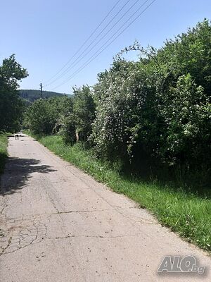 image_3