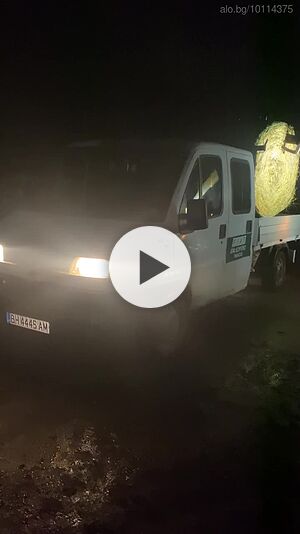image_8