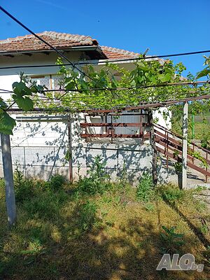 image_2