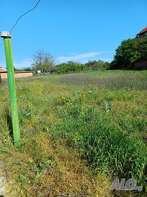 image_6