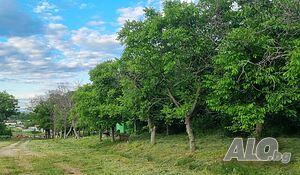продавам земя с. Първенец