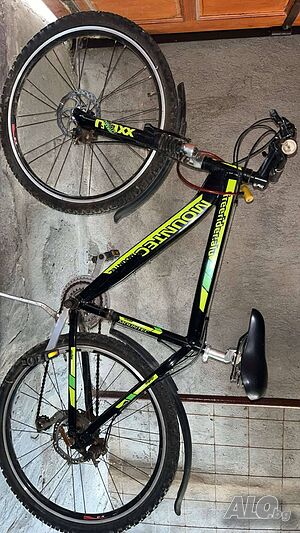 image_8