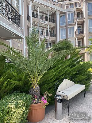 image_10