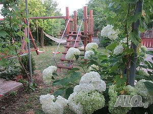 image_9