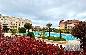 image_11
