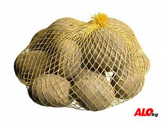 image_8