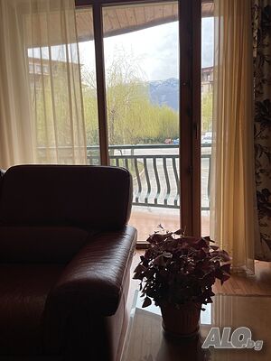 image_2