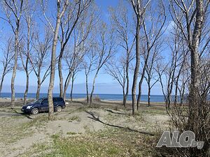 image_8