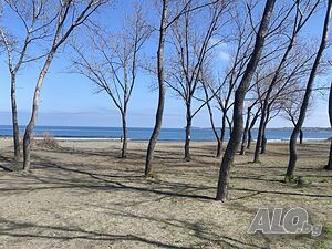 image_10