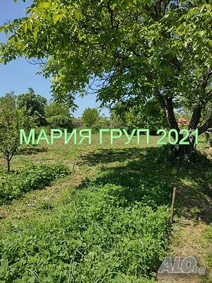 image_9