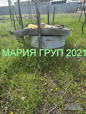 image_5