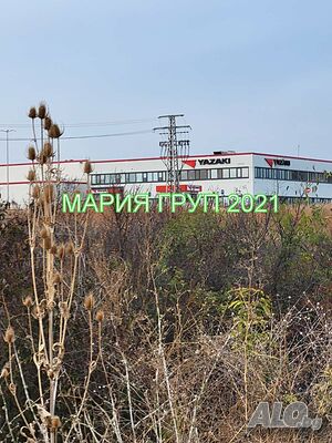 image_4