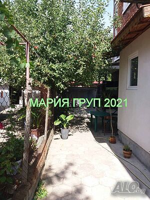 image_11