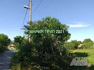 image_8