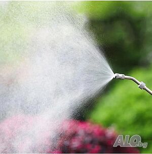image_9