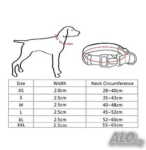 image_8