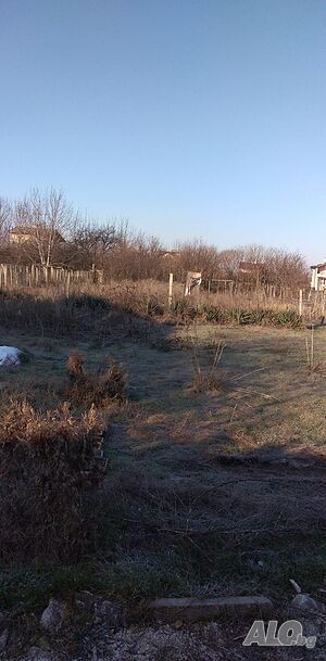 image_9