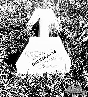 Wooden Parallettes / Гимнастически дървени стойки за лицеви опори, планк, стойка на ръце