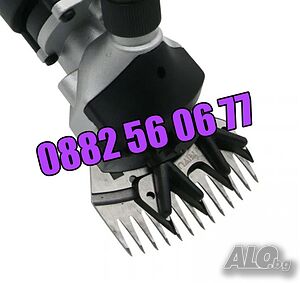 image_2