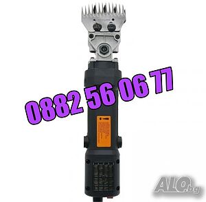 image_3