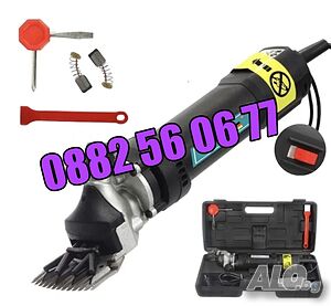 image_4