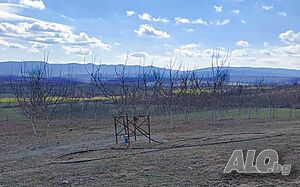 image_7